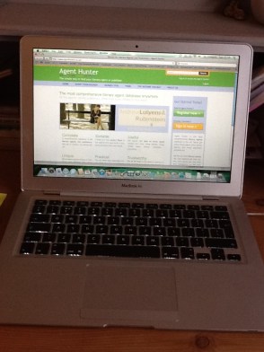 Agent Hunter website