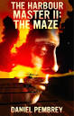 The Maze cover image